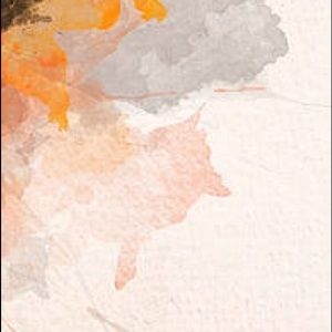 Meet your Posher, Adriana